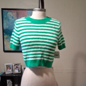 Altar'd State Green and Ivory Striped Sweater